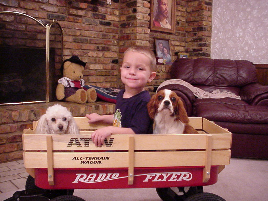 LauraLee, Tony II, and Sugar. (from right to left)