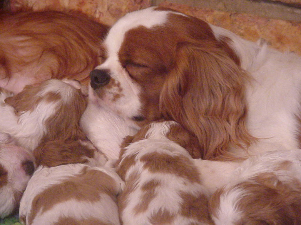 love2sleepwdaddy.jpg
